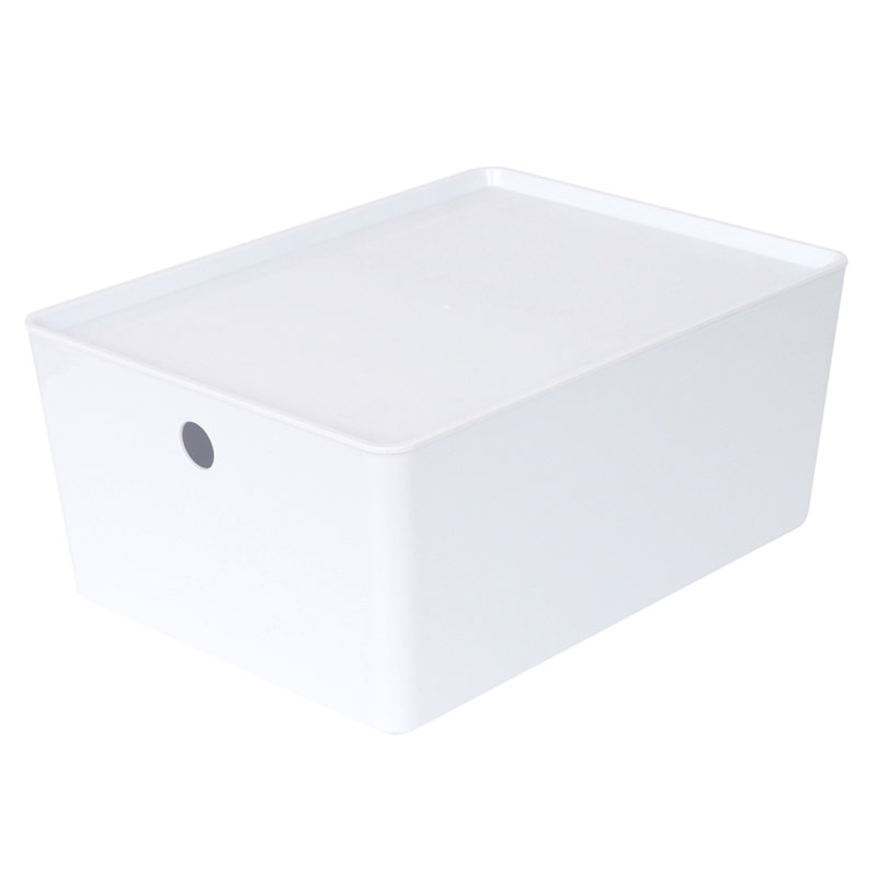 Bac de rangement en plastique Rebrilliant avec couvercle, panier blanc avec poignée pour l'organisation, polyvalent pour salle de classe, tiroirs, bureau, bureau, salle de jeux, tablettes, placards
