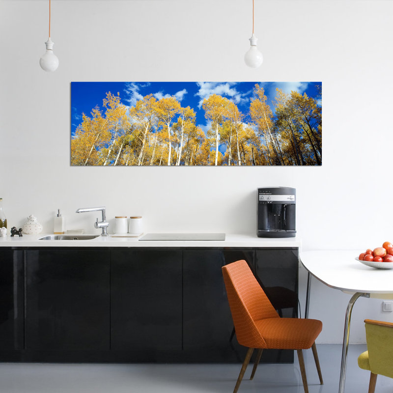 «Low-Angle View of Aspen Trees, Uncompahgre Nationa Forest, Colorado, USA», reproduction de photo sur toile, Toile tendue
