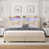 Beige est en rupture de stock