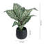 Artificial Plant