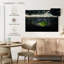 Full soccer arena Sireci