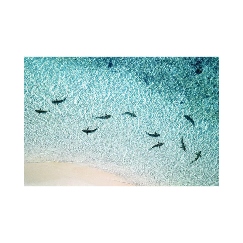 Sharks Patrolling Beach Shoreline by James Vodicka - Wrapped Canvas Gallery-Wrapped Canvas Giclée