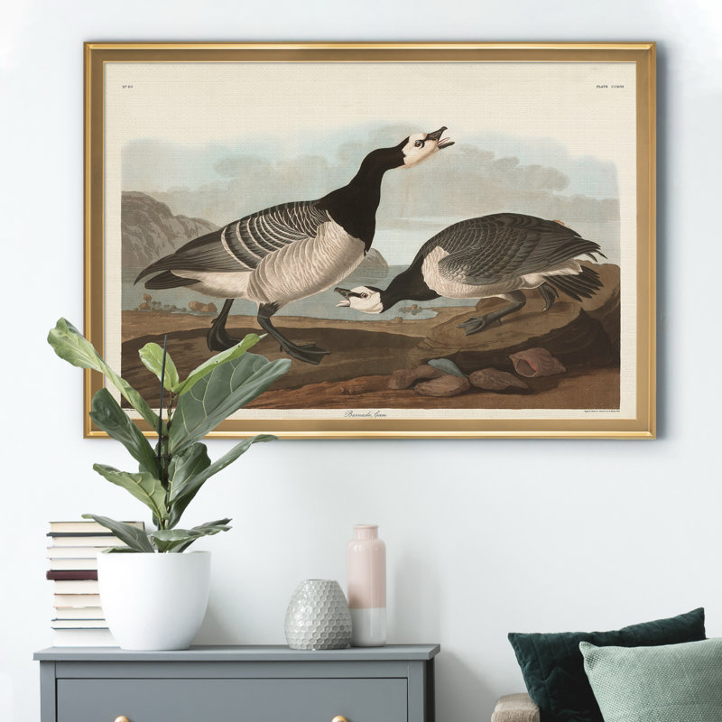 Barnacle Goose - reproduction d'art sur toile, H 22,5 po x l 30,5 po x P 1,5 po, Doré