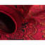 Tapis oriental rouge profond Amro-22017623