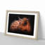 Highland Cow in the Shadows - Picture Frame Painting Print on MDF-55580275-55580276
