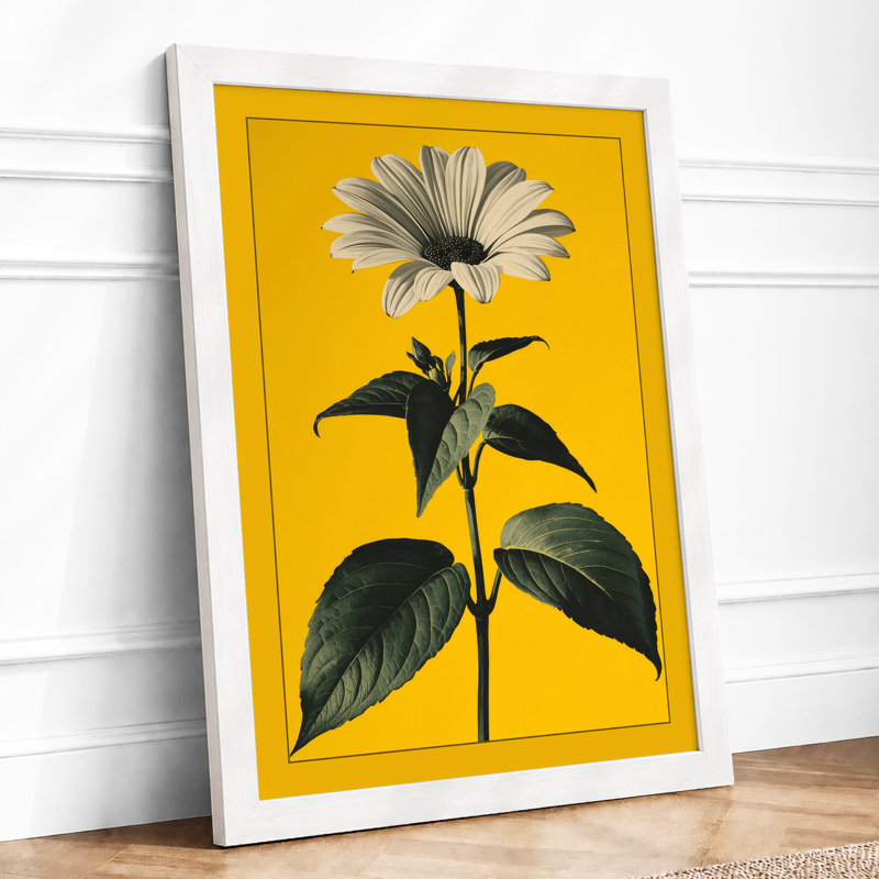 Golden Daisy Botanical - Framed Print, A3 - 42.0 x 29.7 cm, White