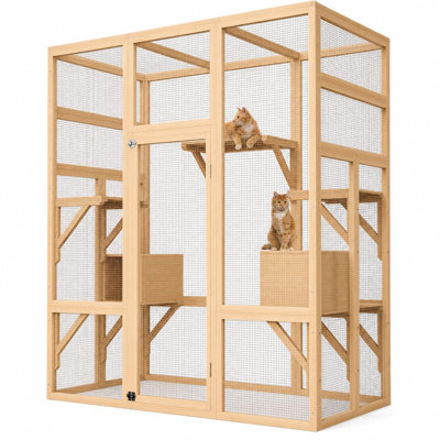 Cat House