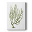Coral Souvenirs III - galerie sur mesure Cavas-1649973677