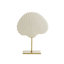 3 Piece Shell Sculpture Set