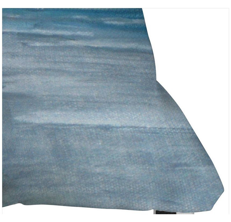 Outdoor Throw Pillow, 20" x 20"