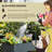 Starisha Steel Outdoor Elevated Planter