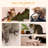 Versatile Cat Activity Center With Plush Comforts And Play Options