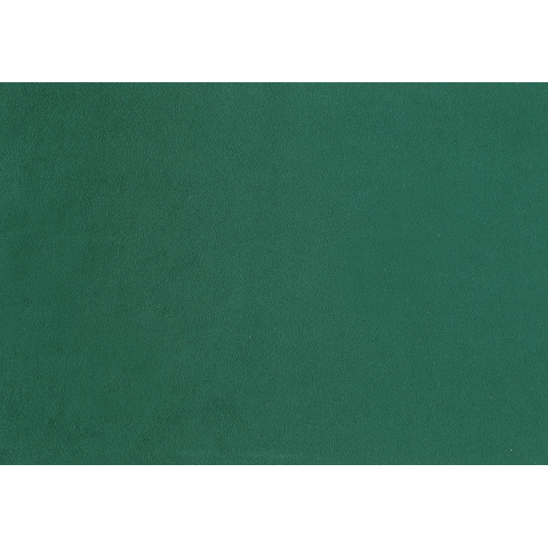 Ensemble de chaises rembourrées 2 pièces, Vert