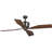 Chapin 56'' Ceiling Fan-614314131