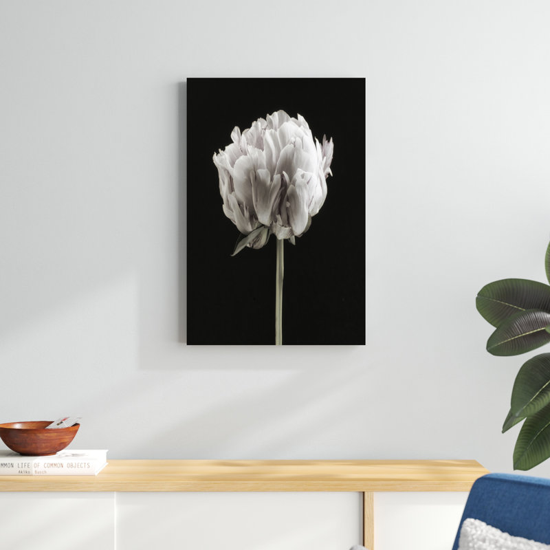 Portrait de pivoine rosée II, H 30 po x l 20 po x P 1,25 po