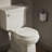 Brevia Toilet Seat with Quick-Release Hinges and Grip-Tight Bumpers-10979258-91059805