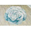 Tapis bleu botanique Kishore-494994624