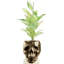 Handmade Pot Planter-52454986