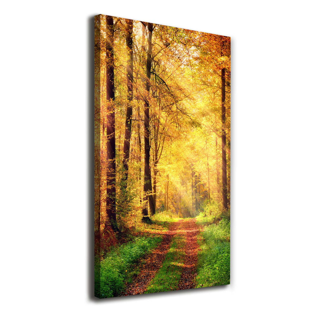 Herbstwald - Kunstdrucke auf Leinwand - Wrapped Canvas