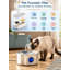 Trousse de filtre de rechange pour distributeurs d'eau compatibles avec les chats.