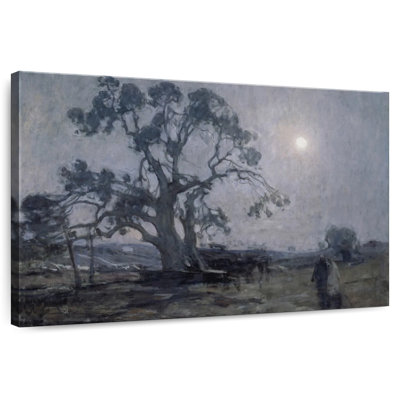 Harnek Abraham's Oak