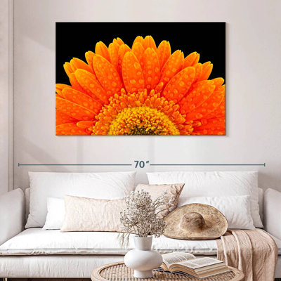 Harnek Gerbera Flower Dewdrops