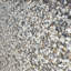 Papier peint Ornette Modern