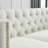 Adas 80.5'' Velvet Sofa-1724684505-1731323339