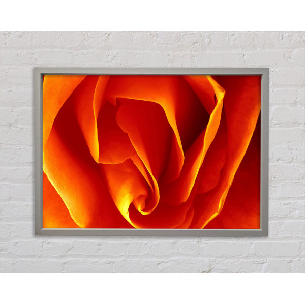 Ebern Designs Orange Rose Petals - Single Picture Frame Art Prints on ...