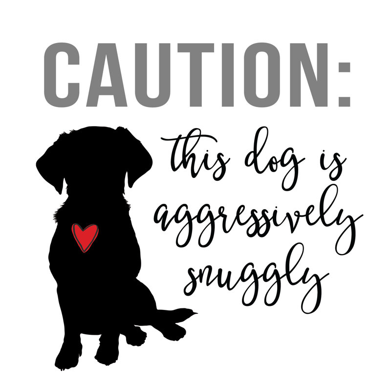 Aggressively Snuggly - Wrapped Canvas Print, 122cm H x 122cm W x 3.8cm D