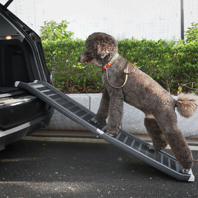 Rampes pliantes portatives pour chien pour camion VUS, échelle de rampe de voiture pour animal de compagnie, rampe pour animaux de compagnie antidérapante avec rails latéraux