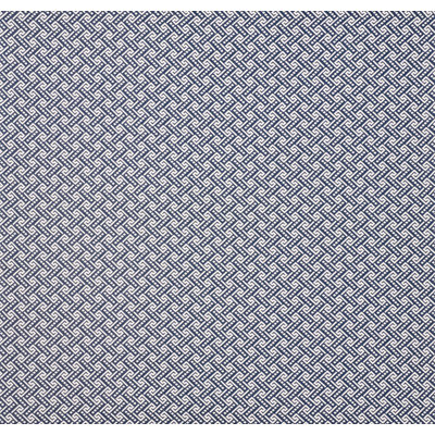 Schumacher x Timothy Corrigan Ionic Weave Fabric