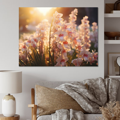 " White Orchids Field With Sunset "