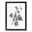 Ivy Marginata Media by Shirley Hibberd - Framed Print-55770346-55770340