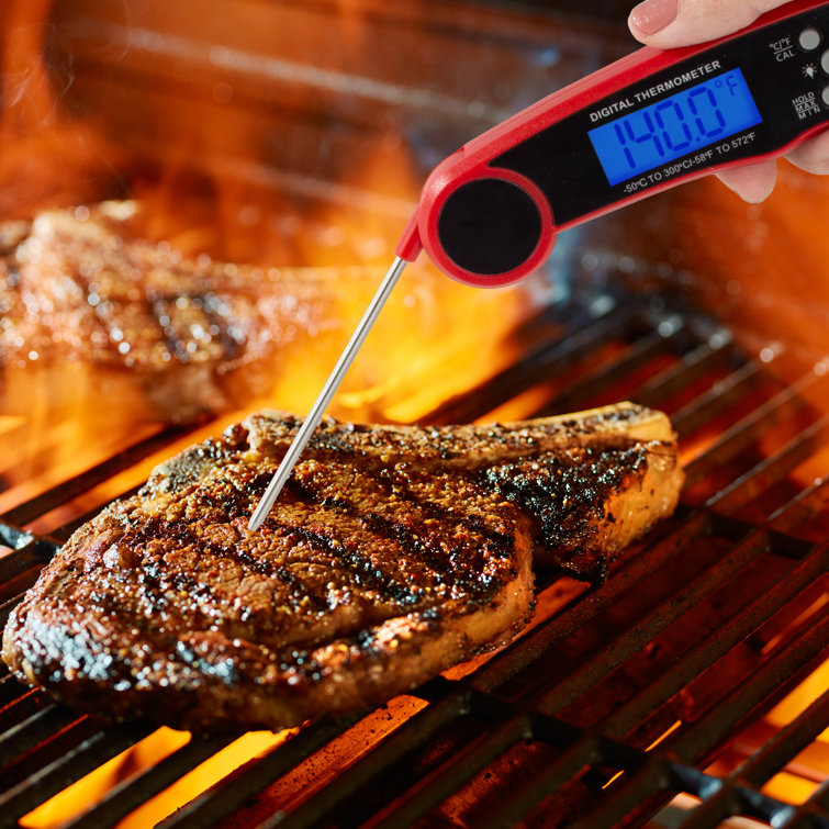 Fastest Meat Thermometer | Premium Fast Probe Thermometer with Built-in Magnets | Meat Thermometer for BBQ, Oven, Grill, Bake | Magnetic & Fully