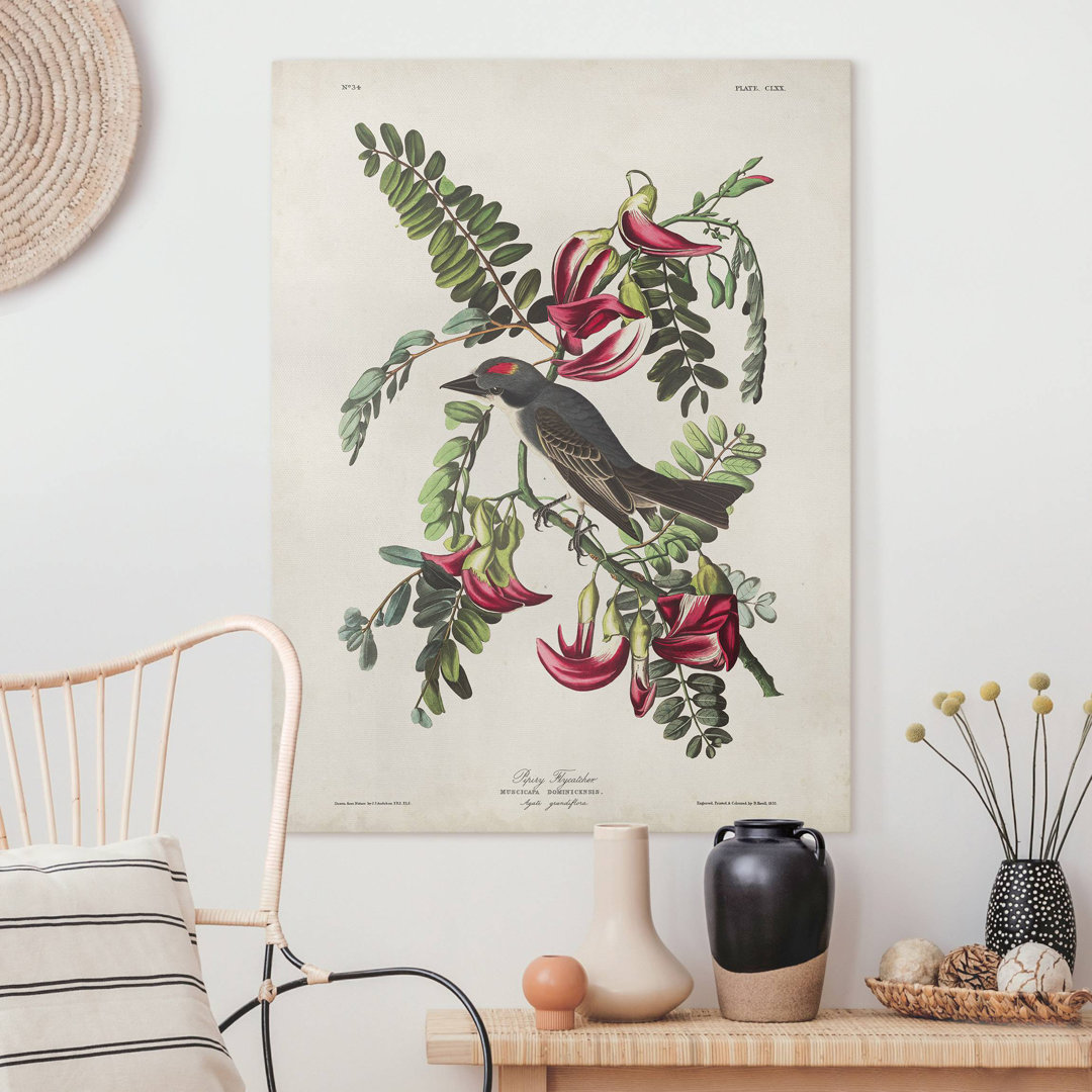 Leinwandbild Flycatcher II Vintage Wall Chart