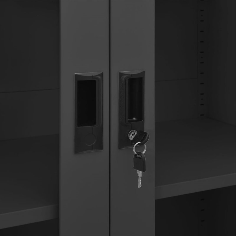 Filing Cabinet Storage Cabinet Locker with Doors and Shelves Steel, Anthracite