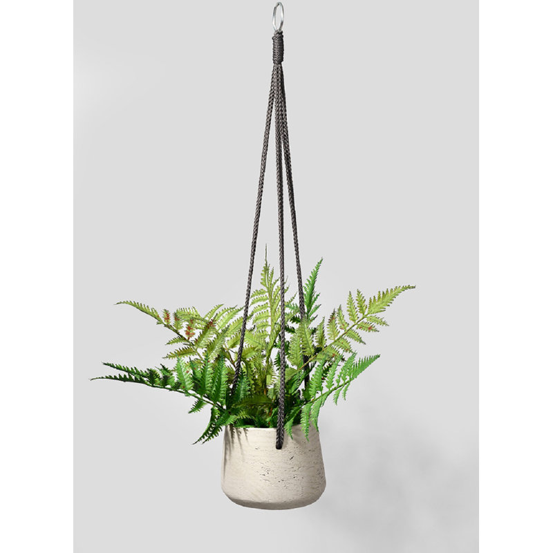 Pot à fleurs suspendu en béton Refton, H 4,55 po x l 5,25 po x P 5,25 po
