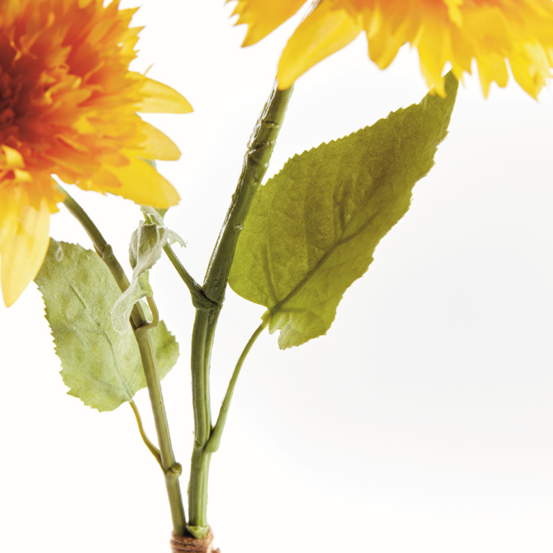 Tiges de tournesol ours en peluche 27 po, lot de 2