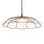  Luminaire suspendu intérieur / extérieur 1 lumière Lakeside
