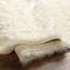 Wool Area Rug in Cream-1670057811
