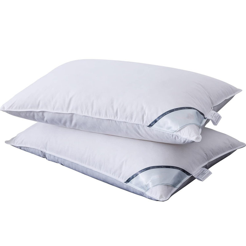 Emeliah L74 x W48cm Support Pillow