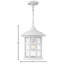 Freeport 1-Light Outdoor Hanging Lantern