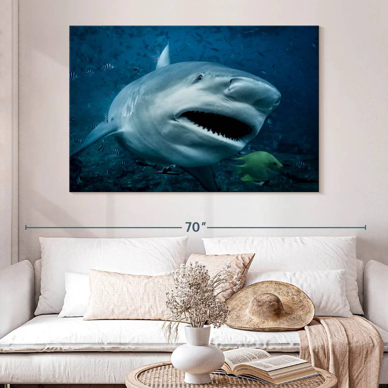 Brampt Bull Shark In Action, 34" H x 51" W