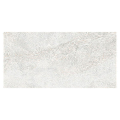 Splendor 24 X 48 In. Polished Frosted White Porcelain Large Format Wall And Floor Tile (15.49 Sq Ft/Case) - 2 Pack