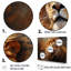 Shimmering Golden Lion Reflections sur impression sur toile-949682288-949683087