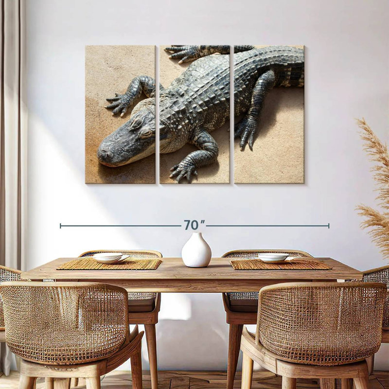 Alligator, 36" H x 57" W