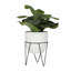 Plante artificielle en pot 12,25 po