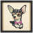 " Chihuahua Closeup " by Alex Zeng