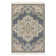 Oriental Indoor Rug